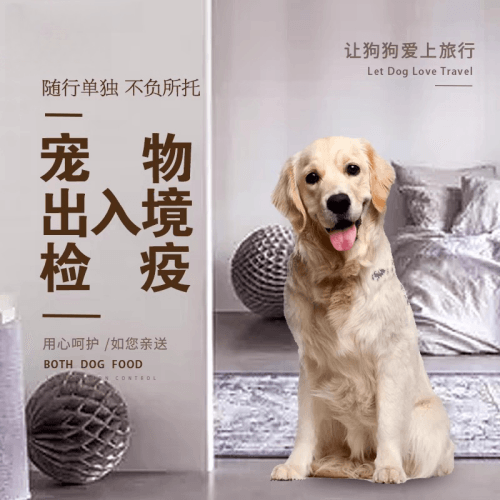 香港岛宠物托运到哥伦比亚猫狗宠物入境规定和