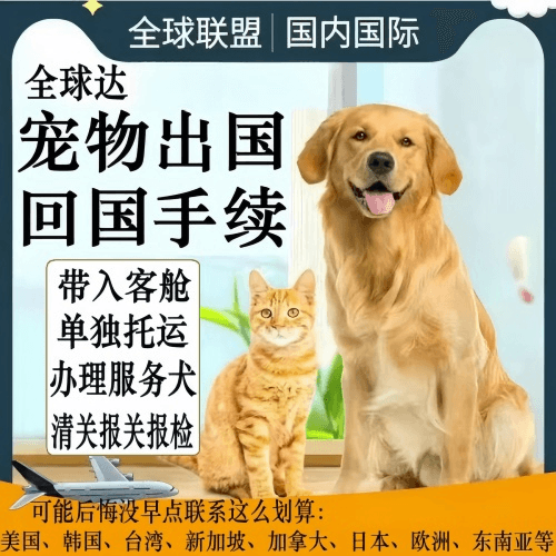 香港岛宠物托运到柬埔寨宠物入境规定和要求