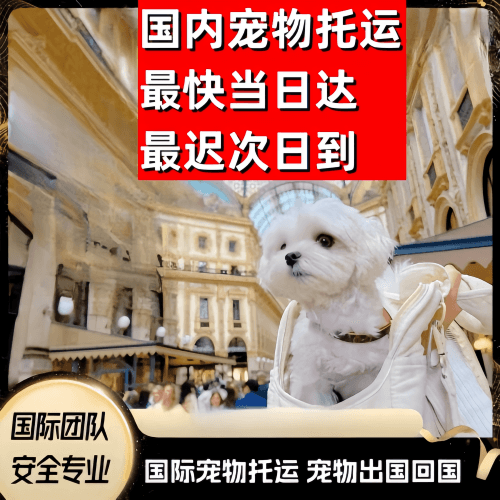 香港岛到澳大利亚（澳洲）宠物入境规定和要求