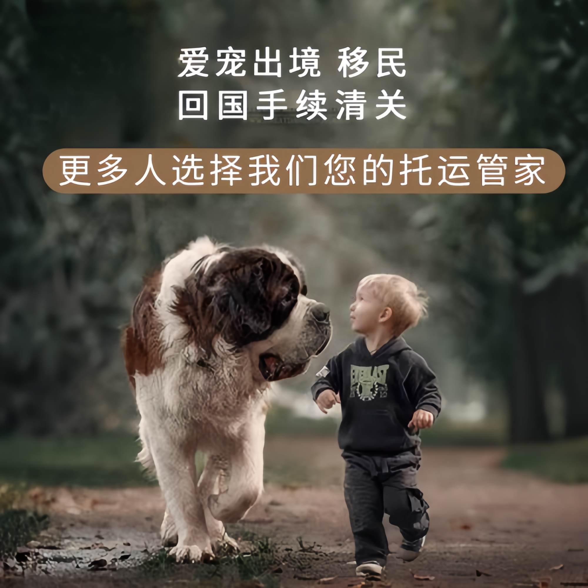 满财香港岛宠物全球达宠物托运在遵守入境目的地政策的条件
