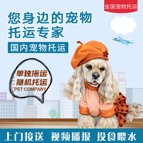 满财香港岛宠物全球达宠物托运作为专业的宠物运输代理机构